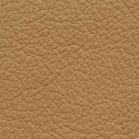Image for option Paloma Leather - Almond