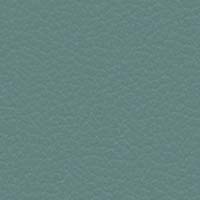 Image for option Paloma Leather - Aqua Green