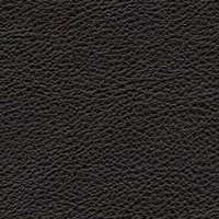 Image for option Leather 0100 - Black