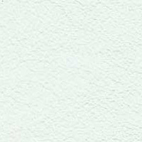 Image for option Leather 0111 - White