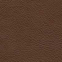 Image for option leather 0301 -  Chestnut Brown