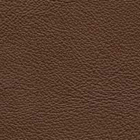Image for option Leather 0301 -  Chestnut Brown
