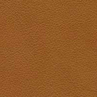 Image for option Leather 0513 -  Cognac