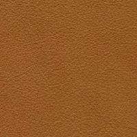 Image for option Leather 0513 -  Cognac