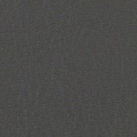 Image for option Leather 4010 - Anthracite