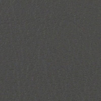 Image for option Leather 4010 - Anthracite