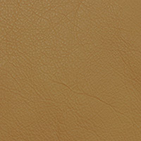 Image for option Leather 4050 - Golden Sand