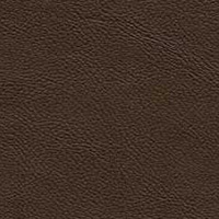 Image for option Leather 5004 - Dark Brown
