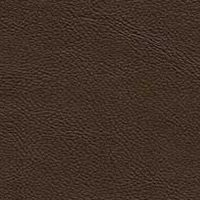 Image for option Leather 5004 - Dark Brown
